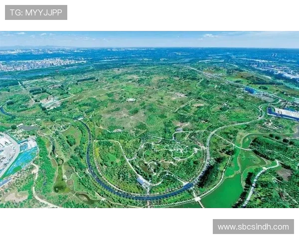 以北京WB为核心推动城市绿色发展探索与实践