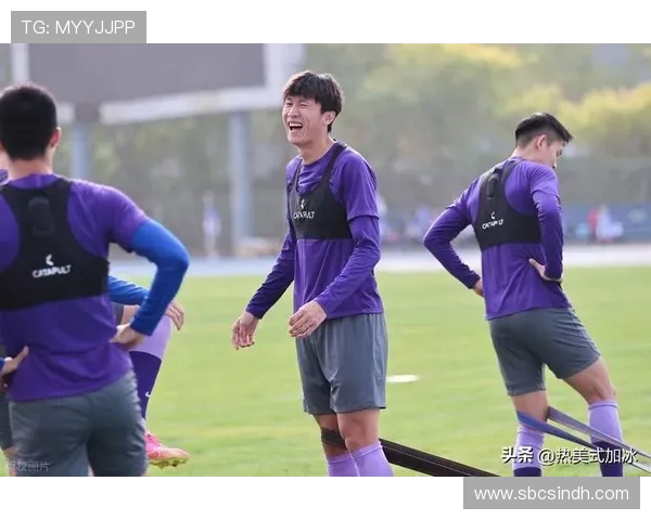 以Meiko辅助为核心探究职业赛场团队协作与战术体系构建