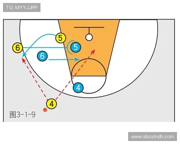 篮球技战术分析与球员发展路径探讨全面提升竞技水平的关键因素