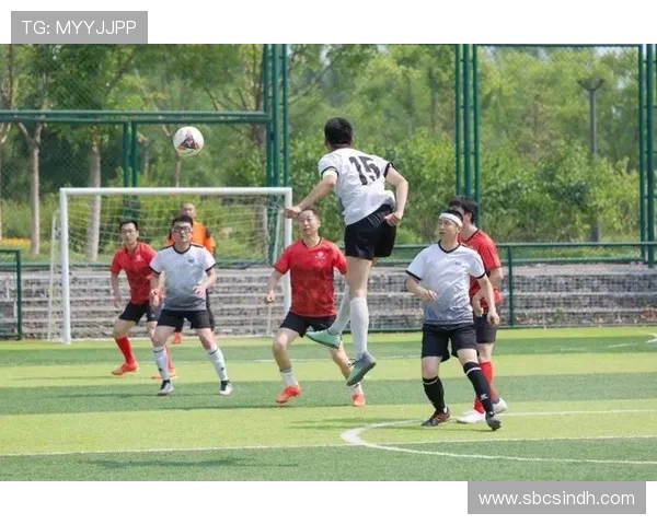 绿茵赛场激情绽放全球足球盛宴点燃无尽青春梦想