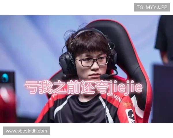 EDG战队运营分析：成功与不足的深度探讨与反思