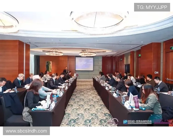 上海羽毛球队转型之路探索新机遇与挑战的精彩历程