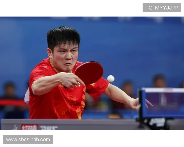 乒乓球技术排行榜揭晓上海乒乓球队荣获第二名引发热议