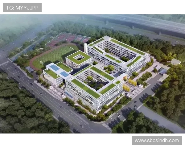 杭州乒乓球队的节奏革新探索与实践全景解析