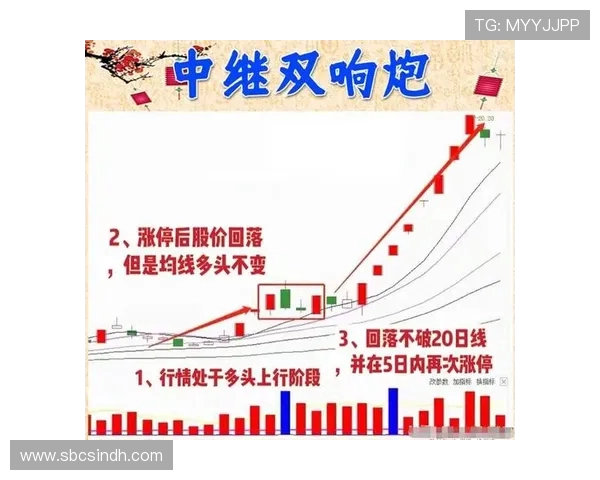 深圳乒乓球队与南京乒乓球队赛后复盘分析力量对比与战术思考 深圳乒乓球队与南京乒乓球队赛后复盘分析力量对比与战术思考