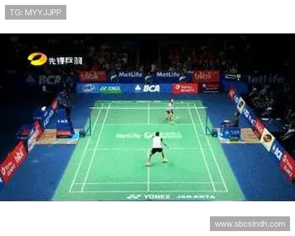 羽毛球深度解析:上海羽毛球队如何实现战术与技术的全面转型 羽毛球深度解析:上海羽毛球队如何实现战术与技术的全面转型