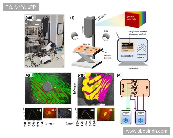 基于ViperADC架构的高精度高速模数转换技术研究与应用探索