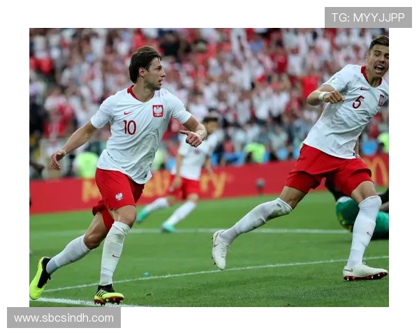 亚美尼亚与波兰足球赛精彩直播全程回顾与分析