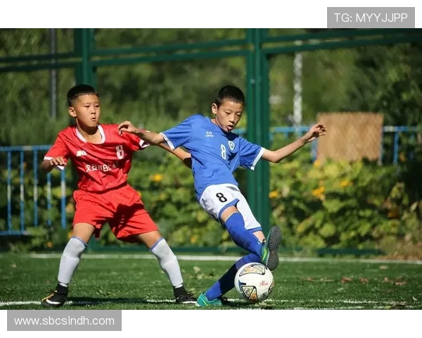 加克波的崛起之路：从青年才俊到国际赛场的闪耀明星